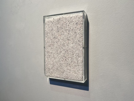 Nicolò Baraggioli A:Chromatic v.20 III