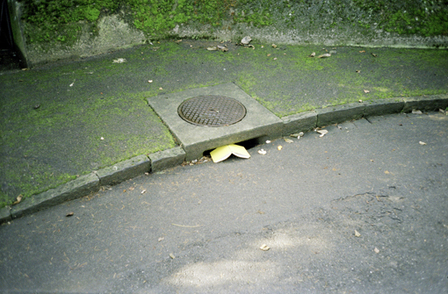 Peter Wüthrich Imago