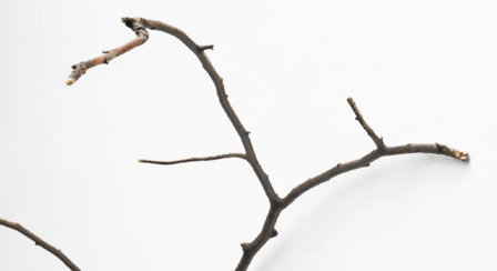 NATURE, Marc Angeli, Nicolò Baraggioli, Robert Barta, Jan Bernstein, Bertrand Fournier, Alfonso Fratteggiani Bianchi, Barbara Hindahl, Nan Hoover, Lev Khesin, Alicja Kwade, Tony Matelli, Dirk Rathke, Peter Rösel, Ken'ichiro Taniguchi, Peter Tollens, Jens Trimpin, Jan Maarten Voskuil