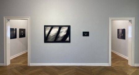 NAN HOOVER, Nan Hoover