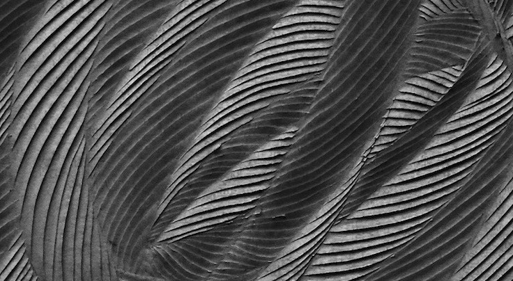 ANDREAS KOCKS, Andreas Kocks