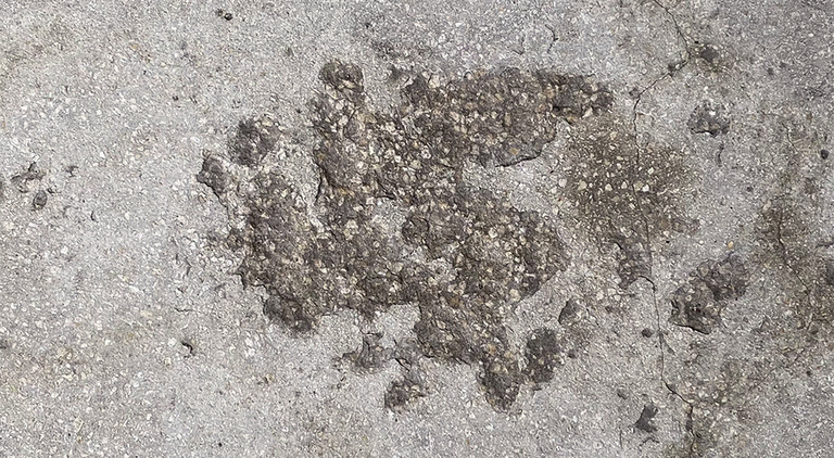 Ken'ichiro Taniguchi, Ken'ichiro Taniguchi