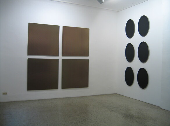 Susanna Niederer, Susanna Niederer