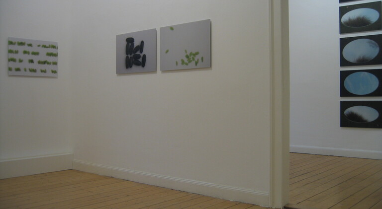 Susanna Niederer, Susanna Niederer