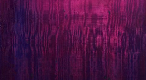 Rolf Rose & Lothar Quinte, Rolf Rose, Lothar Quinte