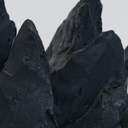 Nan Hoover, Nan Hoover