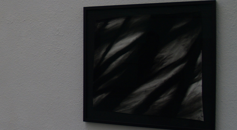 XV. Galerientage im Mannheimer Kunstverein , Andreas Kocks, Nan Hoover