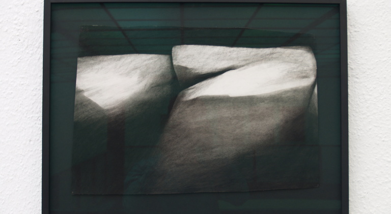 XV. Galerientage im Mannheimer Kunstverein , Andreas Kocks, Nan Hoover