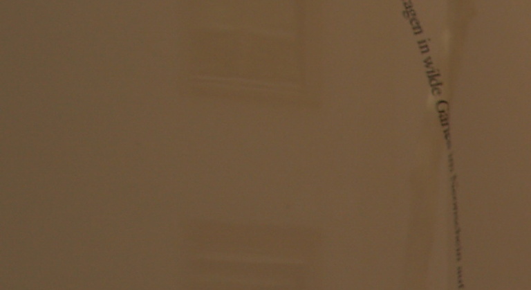 und zwischen den Zeilen kein Wort, Peter Wüthrich