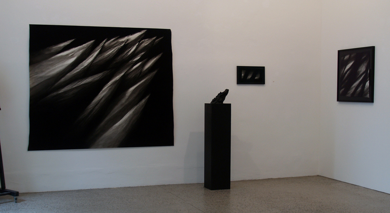 Nan Hoover, Nan Hoover