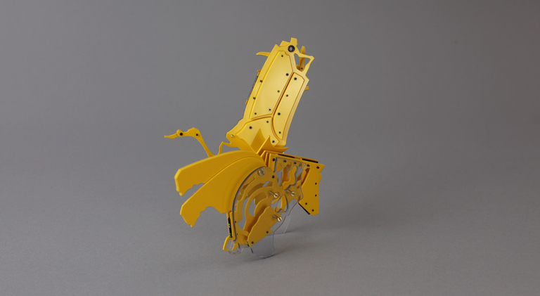 KEN'ICHIRO TANIGUCHI, Ken'ichiro Taniguchi