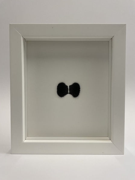 Jan Bernstein Arbeit